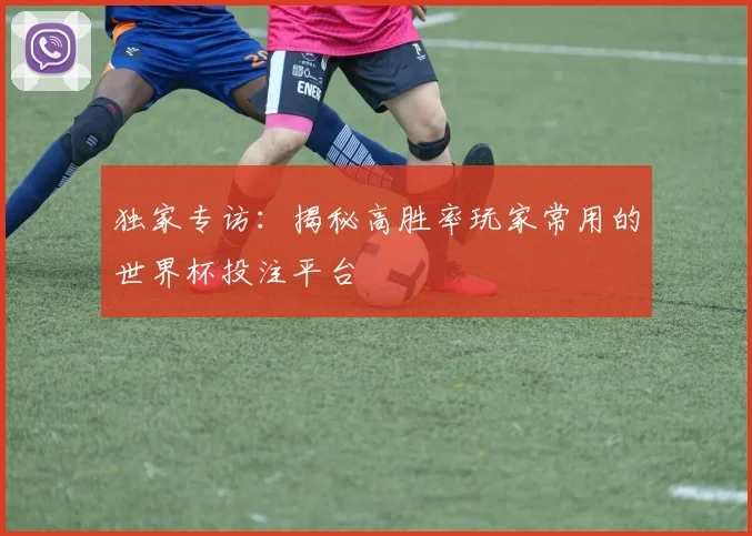 独家专访：揭秘高胜率玩家常用的世界杯投注平台