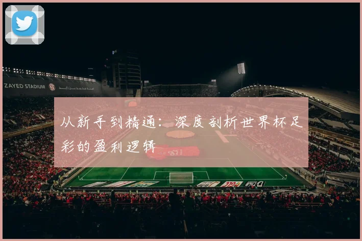 从新手到精通：深度剖析世界杯足彩的盈利逻辑