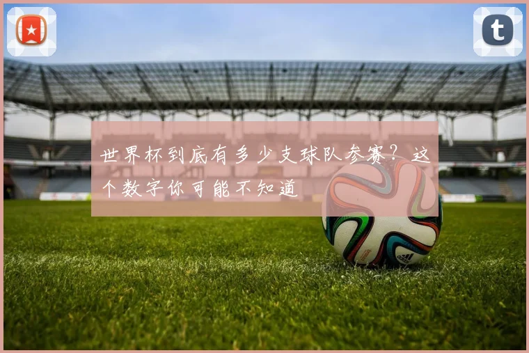 世界杯到底有多少支球队参赛？这个数字你可能不知道